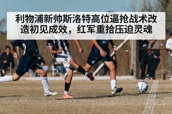 利物浦新帅斯洛特高位逼抢战术改造初见成效,红军重拾压迫灵魂